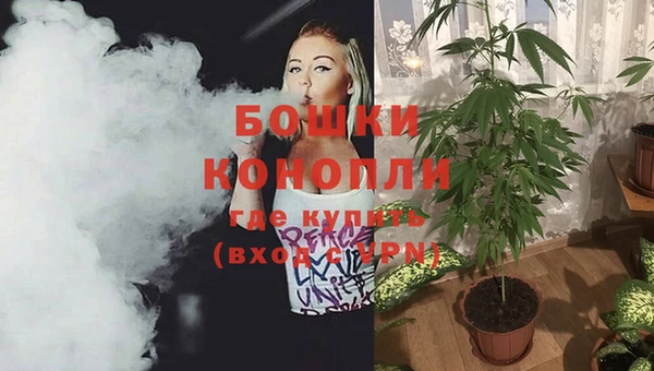дживик Сосновка