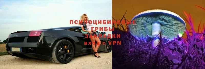 Псилоцибиновые грибы GOLDEN TEACHER  shop какой сайт  Гороховец 